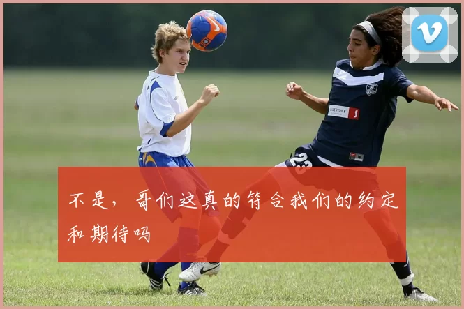 不是，哥们这真的符合我们的约定和期待吗