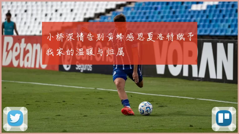 小桥深情告别黄蜂感恩夏洛特赋予我家的温暖与归属